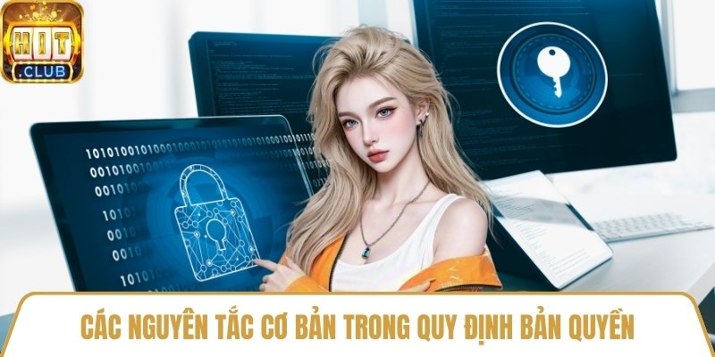 Các nguyên tắc cơ bản trong quy định bản quyền