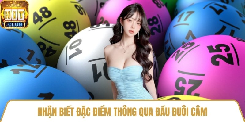 Nhận biết đặc điểm thông qua đầu đuôi câm